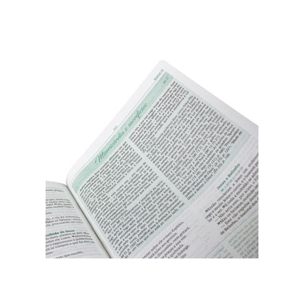 Bíblia de estudo Conselheira | NAA | Luxo Verde e Preta