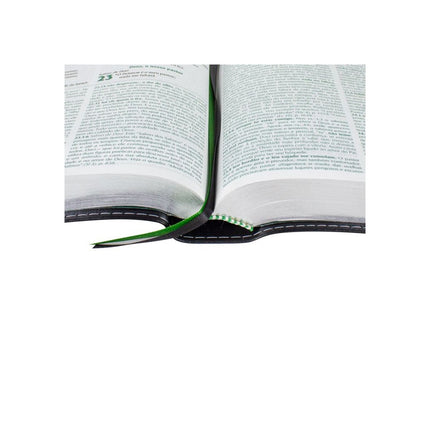 Bíblia de estudo Conselheira | NAA | Luxo Verde e Preta