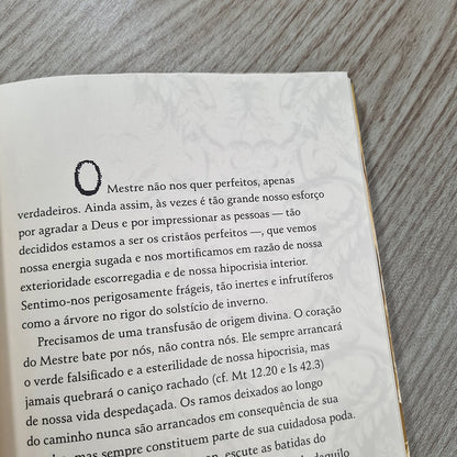 O Obstinado Amor de Deus | Brennan Manning