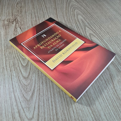 Aprofundando a Restauração da Alma | David Kornfield