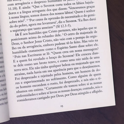 Pais Apostólicos