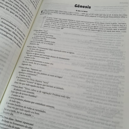Bíblia de Estudo - A Mensagem | Letra Normal | Vermelha e Cinza