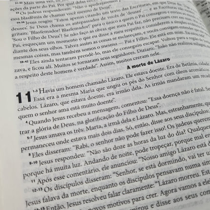 Bíblia de Estudo - A Mensagem | Letra Normal | Vermelha e Cinza
