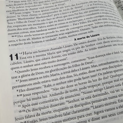 Bíblia de Estudo - A Mensagem | Letra Normal | Vermelha e Cinza