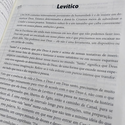 Bíblia de Estudo - A Mensagem | Letra Normal | Vermelha e Cinza