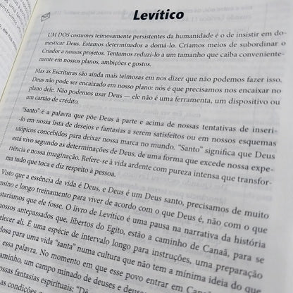 Bíblia de Estudo - A Mensagem | Letra Normal | Vermelha e Cinza