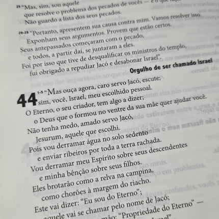 Bíblia de Estudo - A Mensagem | Letra Normal | Vermelha e Cinza
