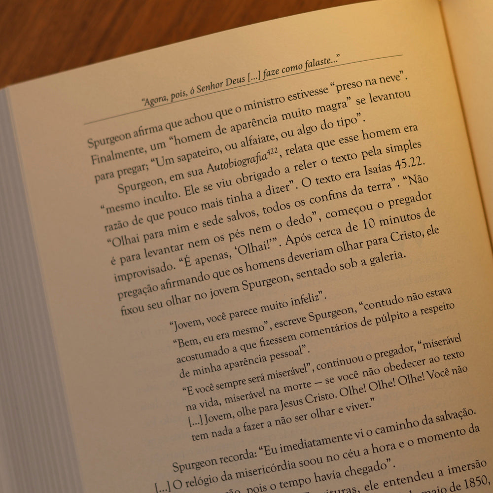 Os Batistas e a Bíblia | L. Russ Bush e Thomas J. Nettles