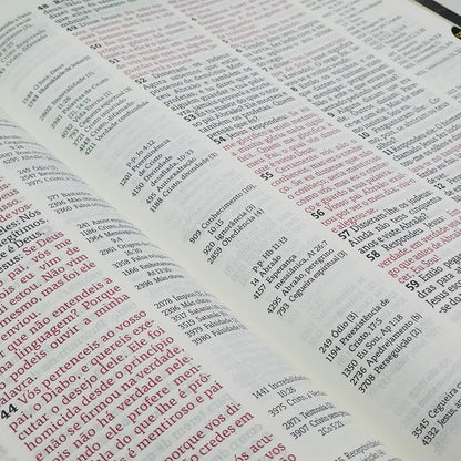 Bíblia de Estudo Thompson | AEC Letra Grande | Verde e Vinho | s/ índice