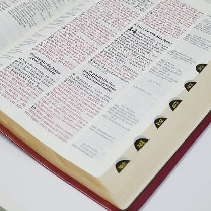 Bíblia de Estudo Thompson | AEC Letra Grande | Verde e Vinho | c/ índice
