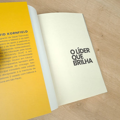 O Líder Que Brilha | David Kornfield