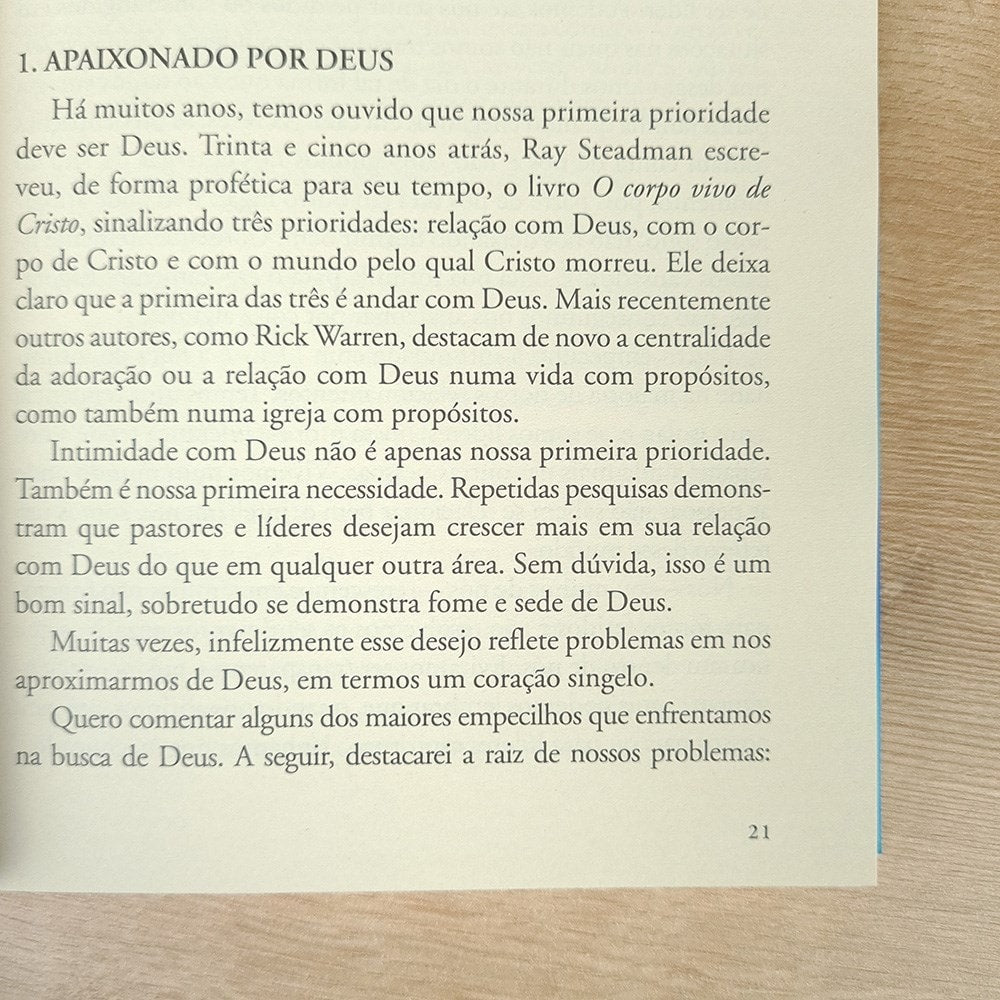 O Líder Que Brilha | David Kornfield