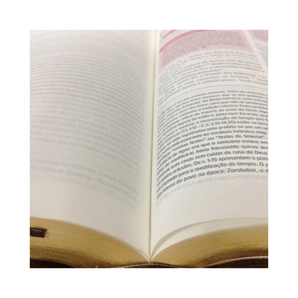 Bíblia Nova Reforma | NVI | Letra Normal | Capa Couro Ecológico