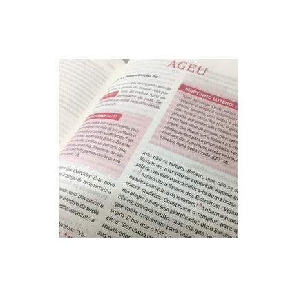 Bíblia Nova Reforma | NVI | Letra Normal | Capa Couro Ecológico