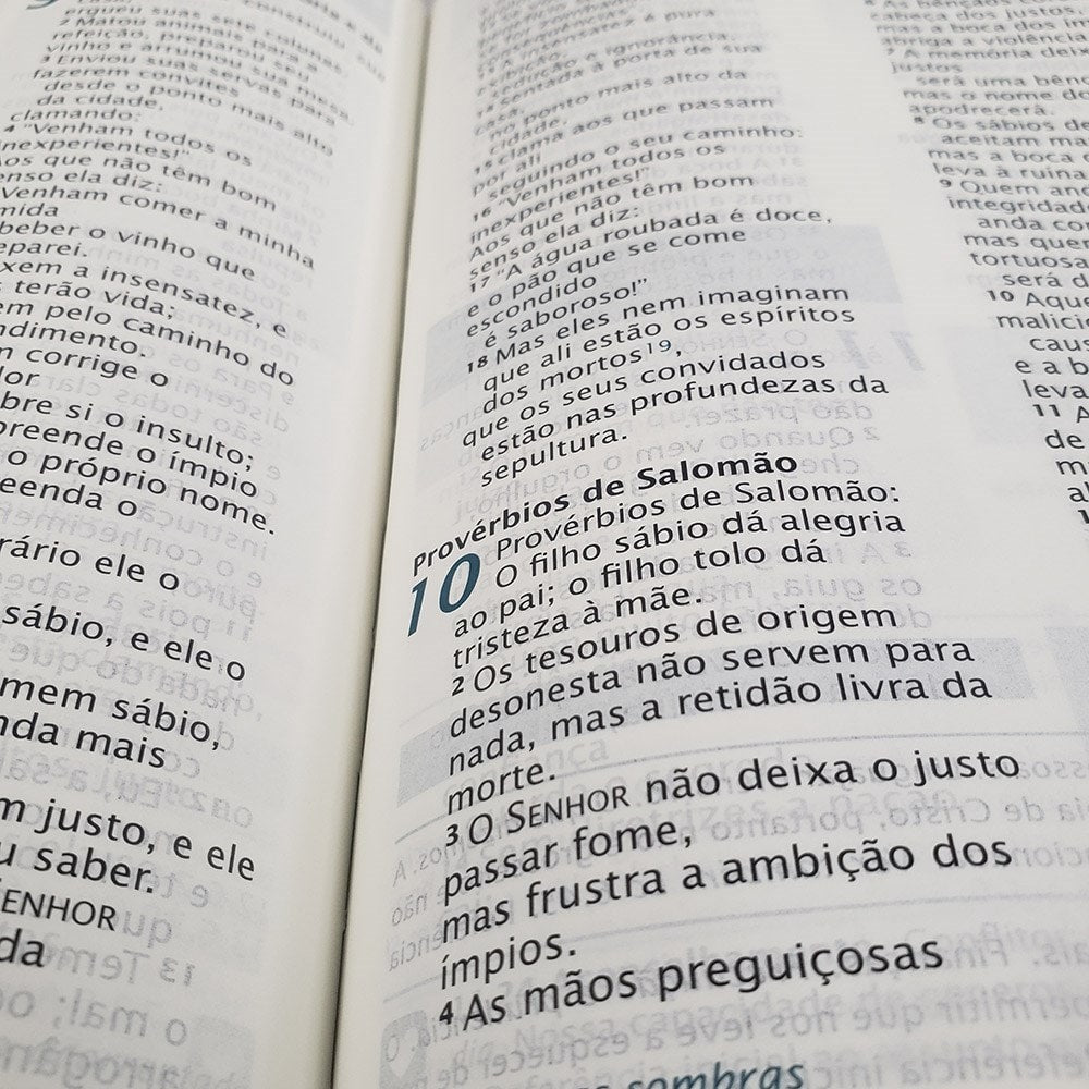 Bíblia do Pescador | Letra Grande | NVI | Capa Vermelha