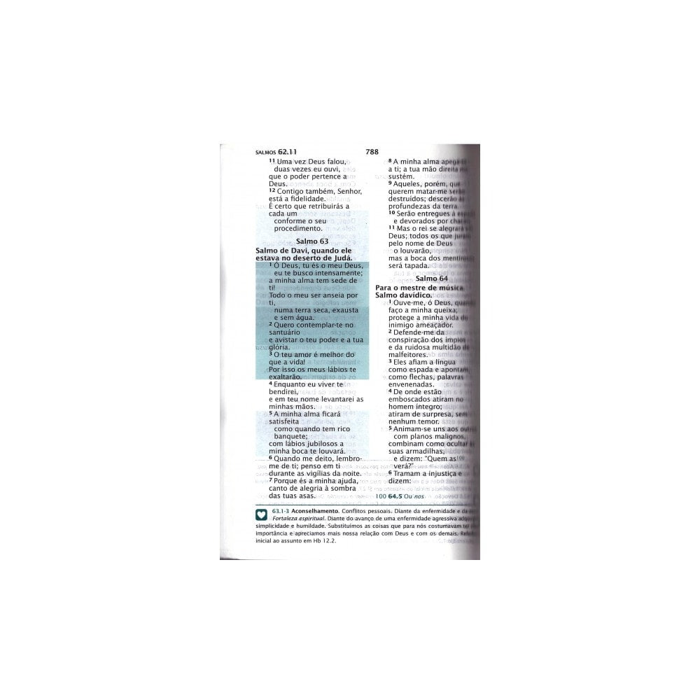 Bíblia do Pescador | Letra Grande | NVI | Capa Verde