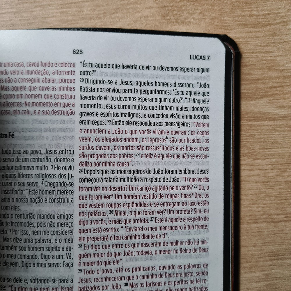 Bíblia Leão Dourado Jesus Copy | NVI | Letra Normal |  Capa Luxo