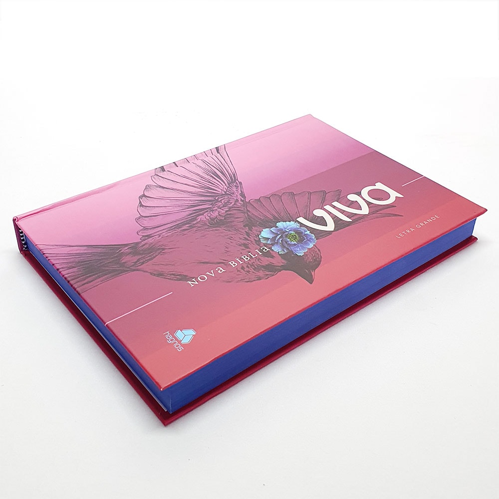 Nova Bíblia Viva | NBV Letra Grande | Liberdade
