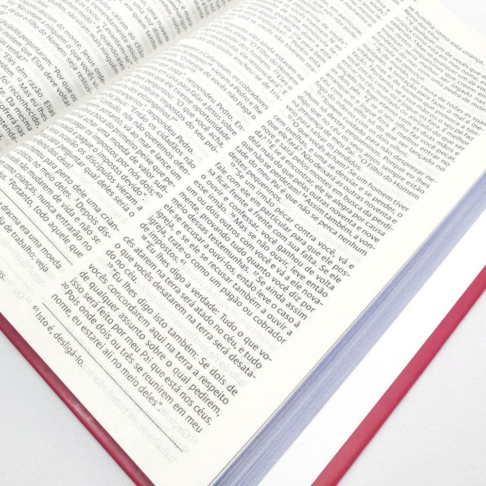 Nova Bíblia Viva | NBV Letra Grande | Liberdade