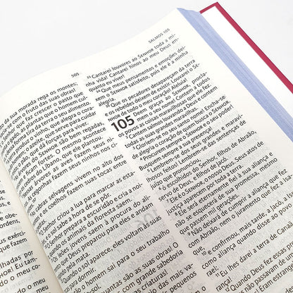 Nova Bíblia Viva | NBV Letra Grande | Liberdade