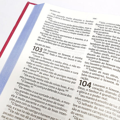 Nova Bíblia Viva | NBV Letra Grande | Liberdade