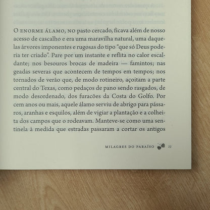 Milagres do Paraíso | Christy Wilson Beam