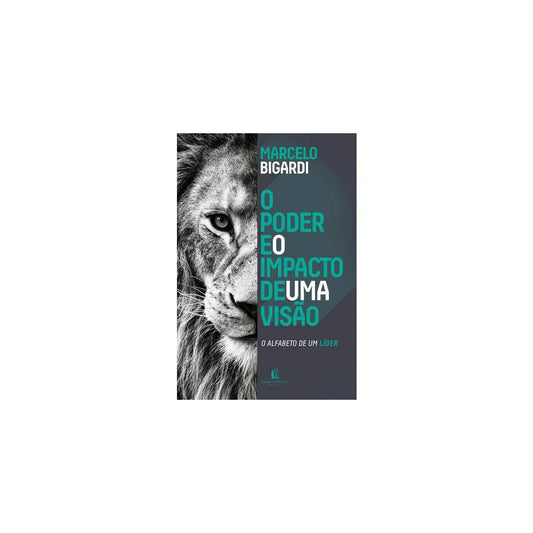 O Poder e o Impacto de uma Visão | Marcelo Bigardi