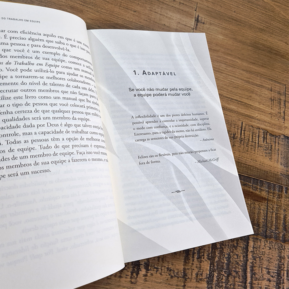 17 Princípios do Trabalho em Equipe | John C Maxwell