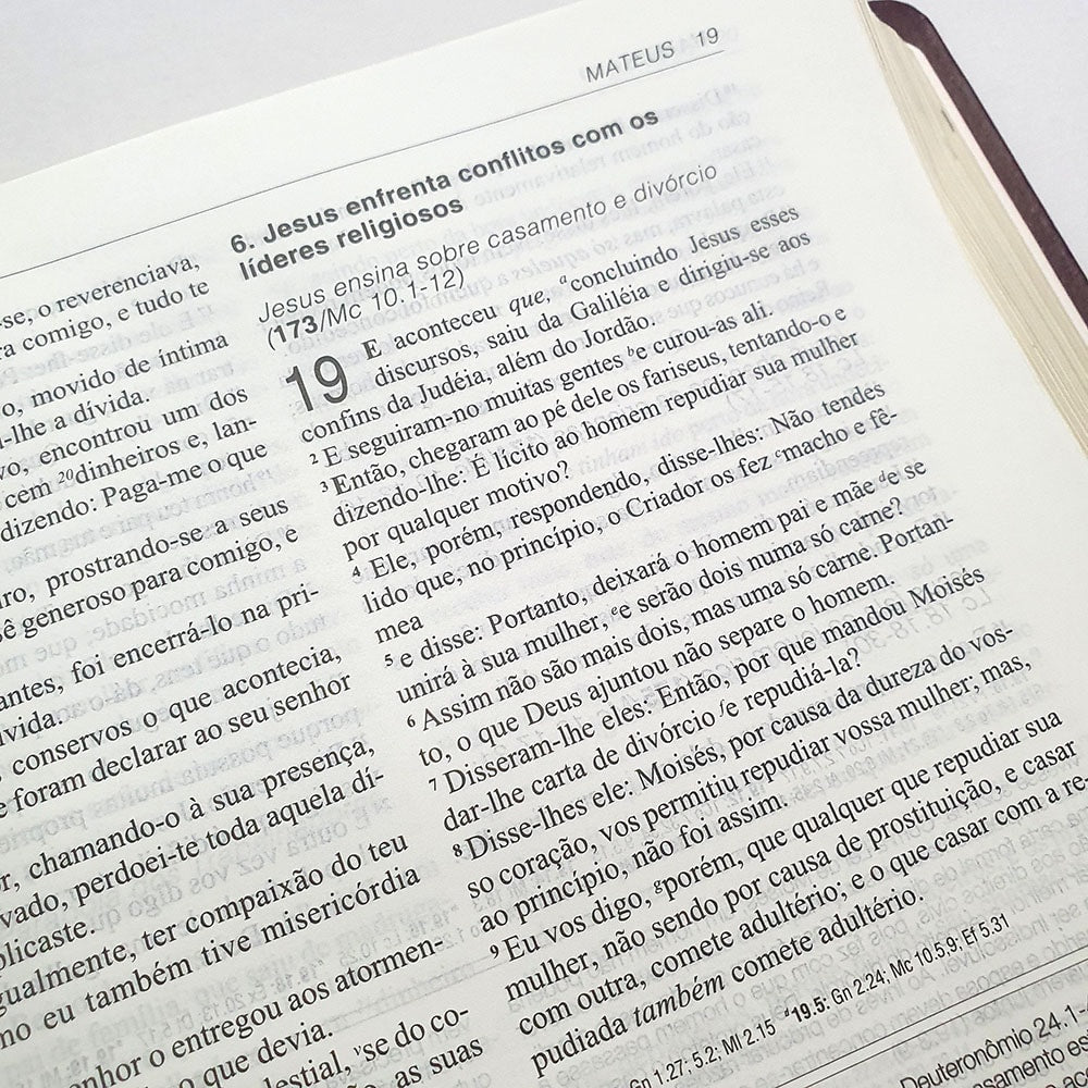 Bíblia de Estudo Aplicação Pessoal Grande | Letra Normal ARC | Vinho e Dourado