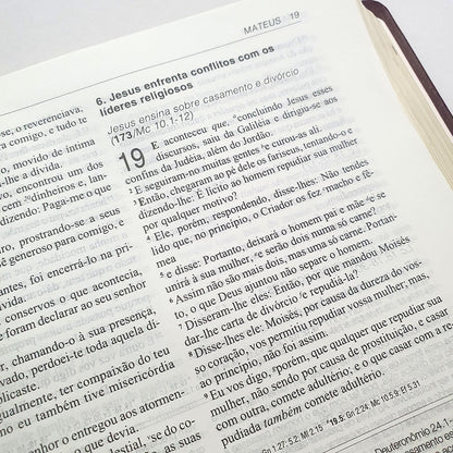 Bíblia de Estudo Aplicação Pessoal Grande | Letra Normal ARC | Vinho e Dourado
