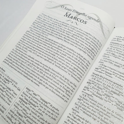 Bíblia de Estudo Palavras Chave | Letra Normal | ARC | Marrom