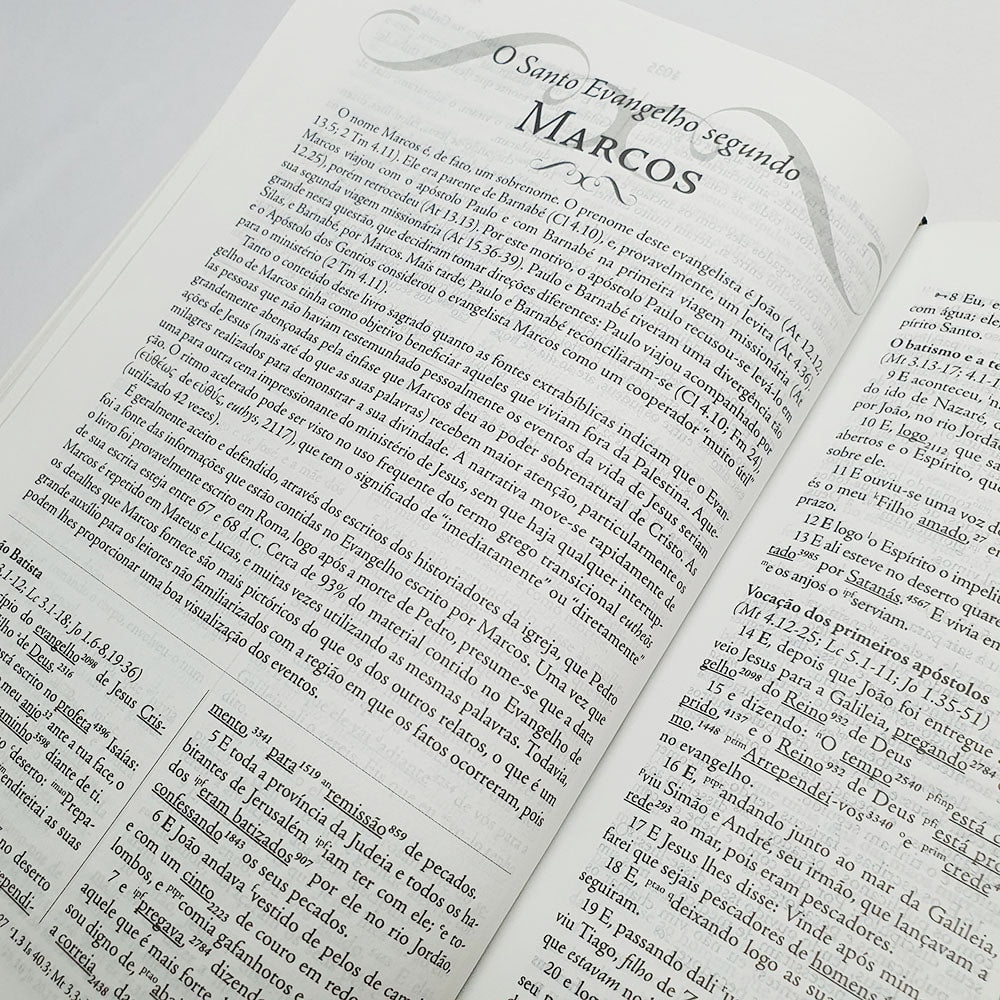 Bíblia de Estudo Palavras Chave | Letra Normal | ARC | Marrom