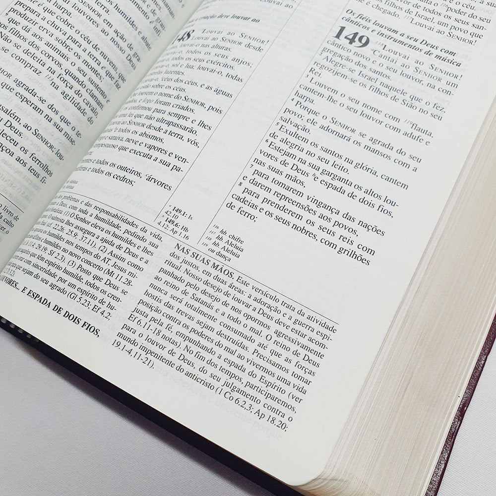 Bíblia de Estudo Pentecostal Média | Letra Normal | ARC | Vinho/Dourado