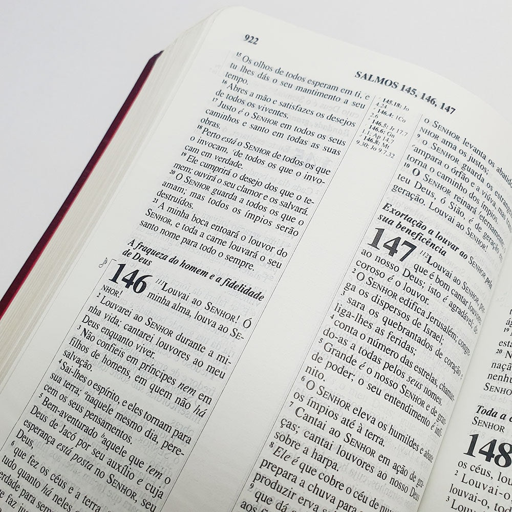 Bíblia de Estudo Pentecostal Média | Letra Normal | ARC | Vinho/Dourado