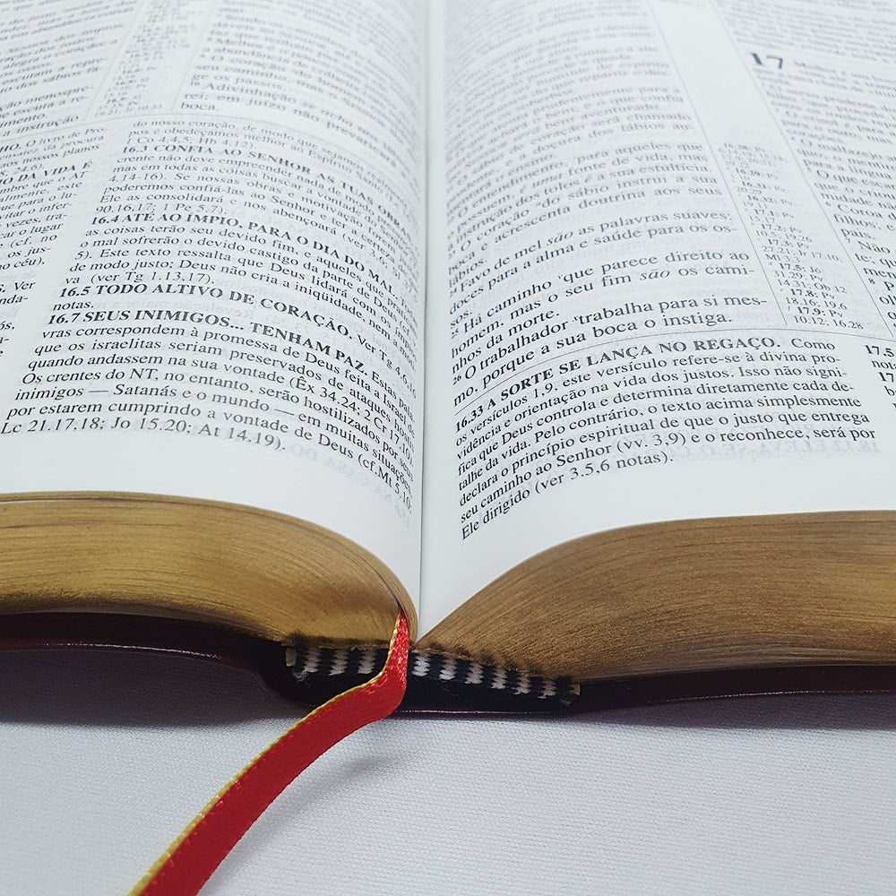 Bíblia de Estudo Pentecostal Média | Letra Normal | ARC | Vinho/Dourado