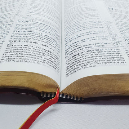 Bíblia de Estudo Pentecostal Média | Letra Normal | ARC | Vinho/Dourado