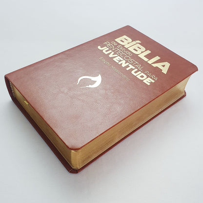 A Bíblia De Estudo Pentecostal Para Juventude | Marrom Luxo