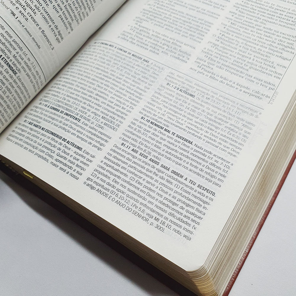 A Bíblia De Estudo Pentecostal Para Juventude | Marrom Luxo