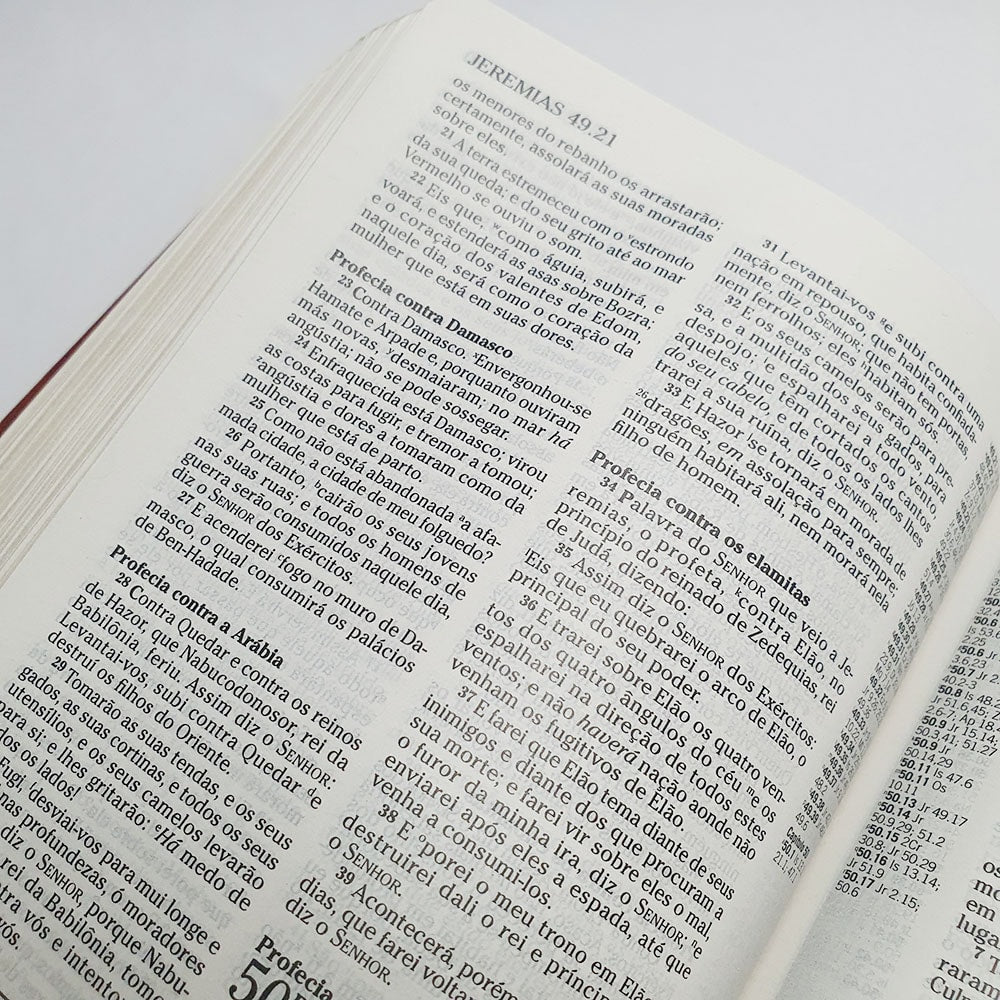 A Bíblia De Estudo Pentecostal Para Juventude | Marrom Luxo