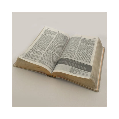 Bíblia De Estudo Joyce Meyer | NVI | Letra Média | Capa Rosa