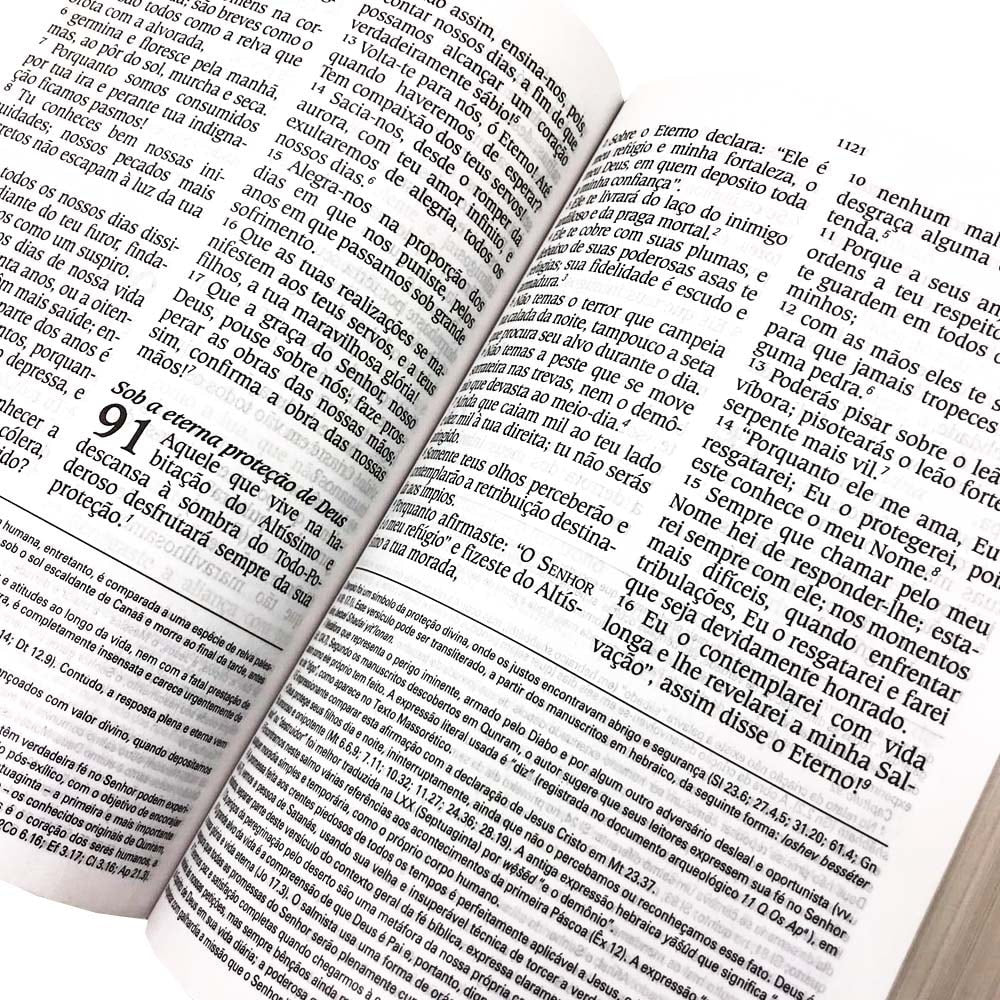 Bíblia de Estudo King James | KJA Letra Grande | Marrom