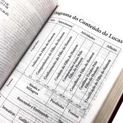 Bíblia de Estudo King James | KJA Letra Grande | Vinho