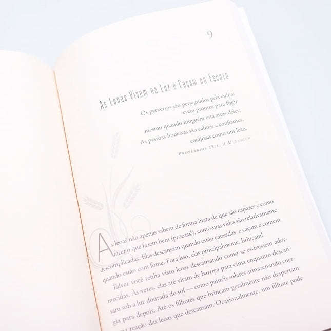 O Despertar da Leoa | Lisa Bevere