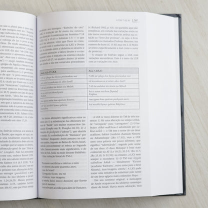 Comentário do uso do Antigo Testamento no Novo Testamento | G K Beale e D A Carson