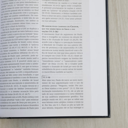 Comentário do uso do Antigo Testamento no Novo Testamento | G K Beale e D A Carson
