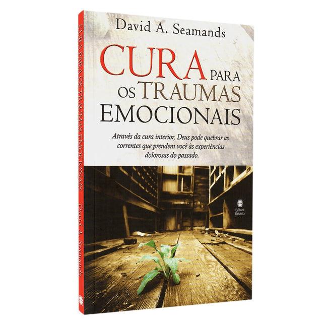 Cura Para Traumas Emocionais | David A Seamands