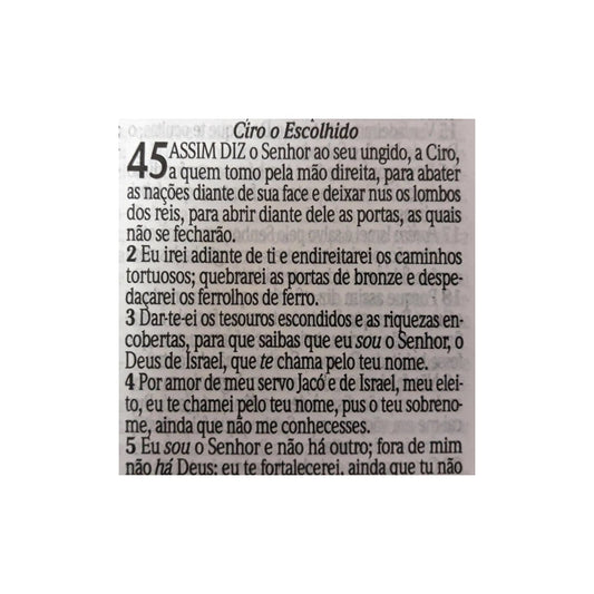Bíblia Sagrada com Harpa Avivada e Corinhos | Letra Gigante | ARC | Laminada Pink