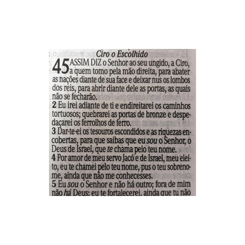 Bíblia Sagrada com Harpa Avivada e Corinhos | Letra Gigante | ARC | Laminada Pink
