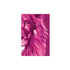 Bíblia Lion Colors Pink POP | NVT | Letra Normal | Capa Dura