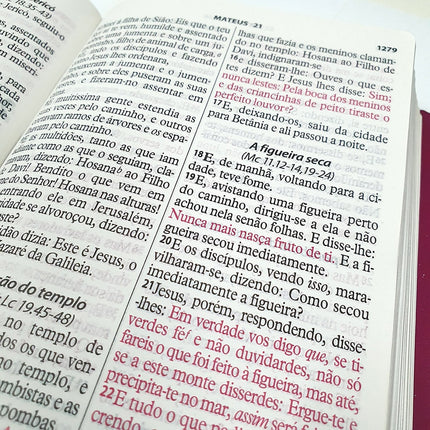 Bíblia da Mulher Vitoriosa | Letra Gigante | ARC | Lilas e Rosa